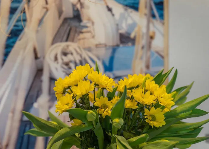 Bootshaus-suite اوبرلنغن